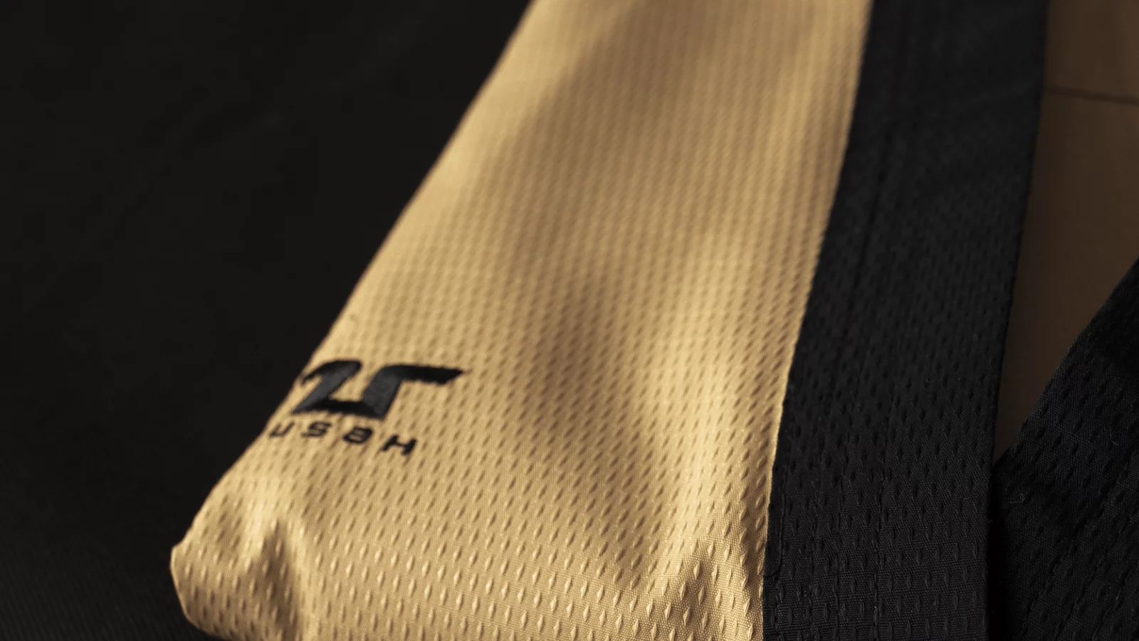 Tusah Professional Poomsae, masters - Image 6