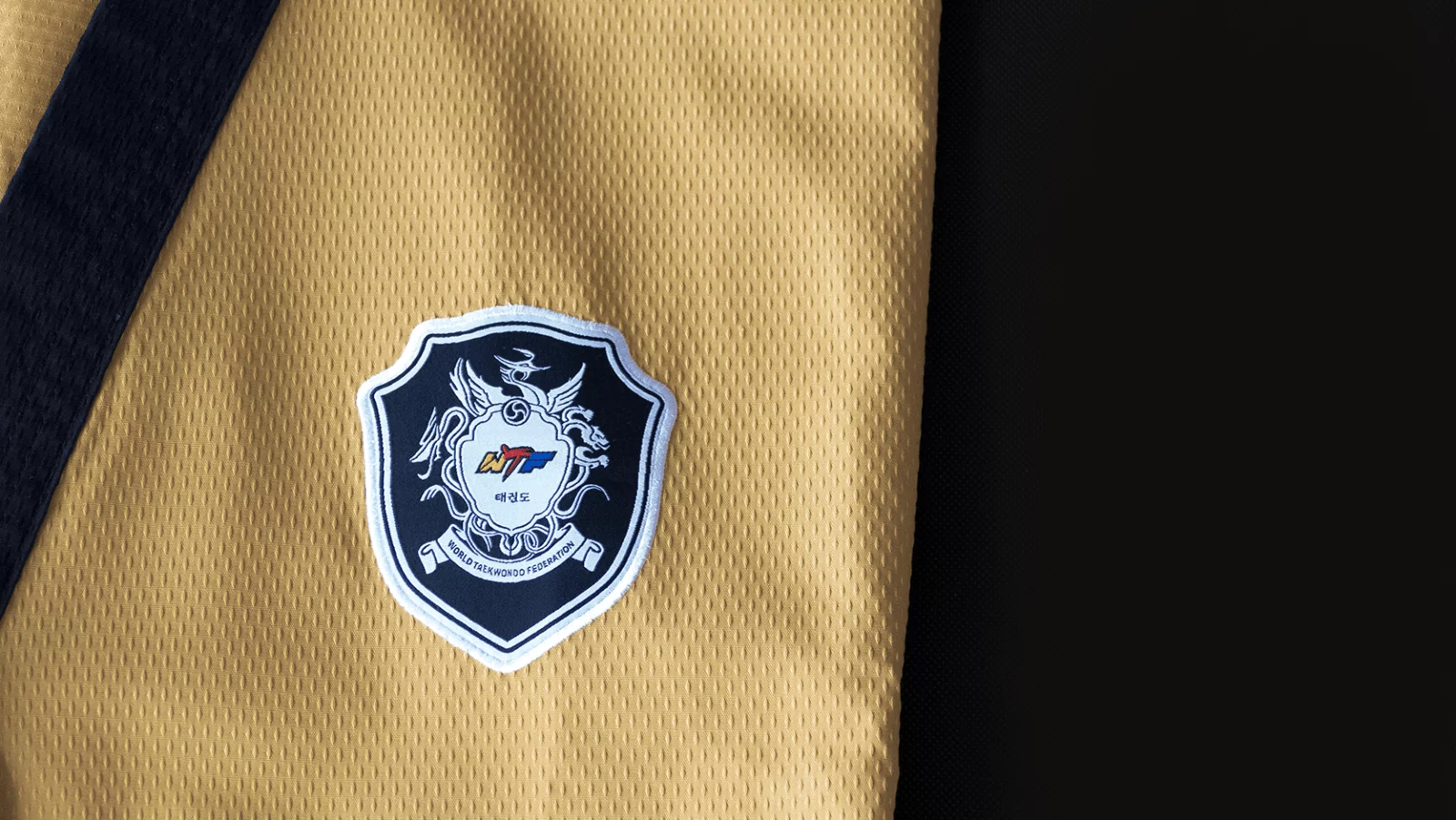 Tusah Professional Poomsae, masters - Image 4